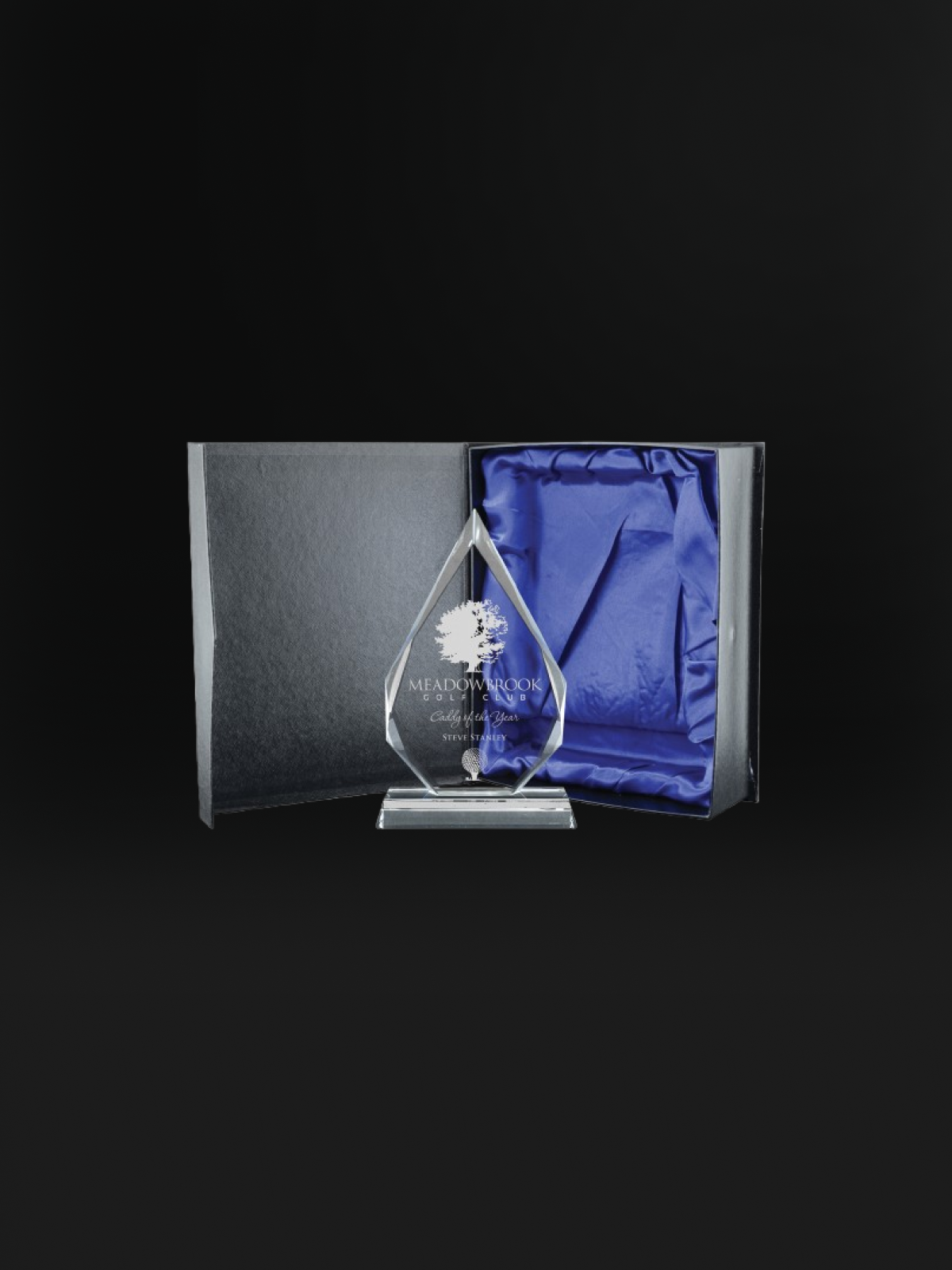 Southampton Crystal Award