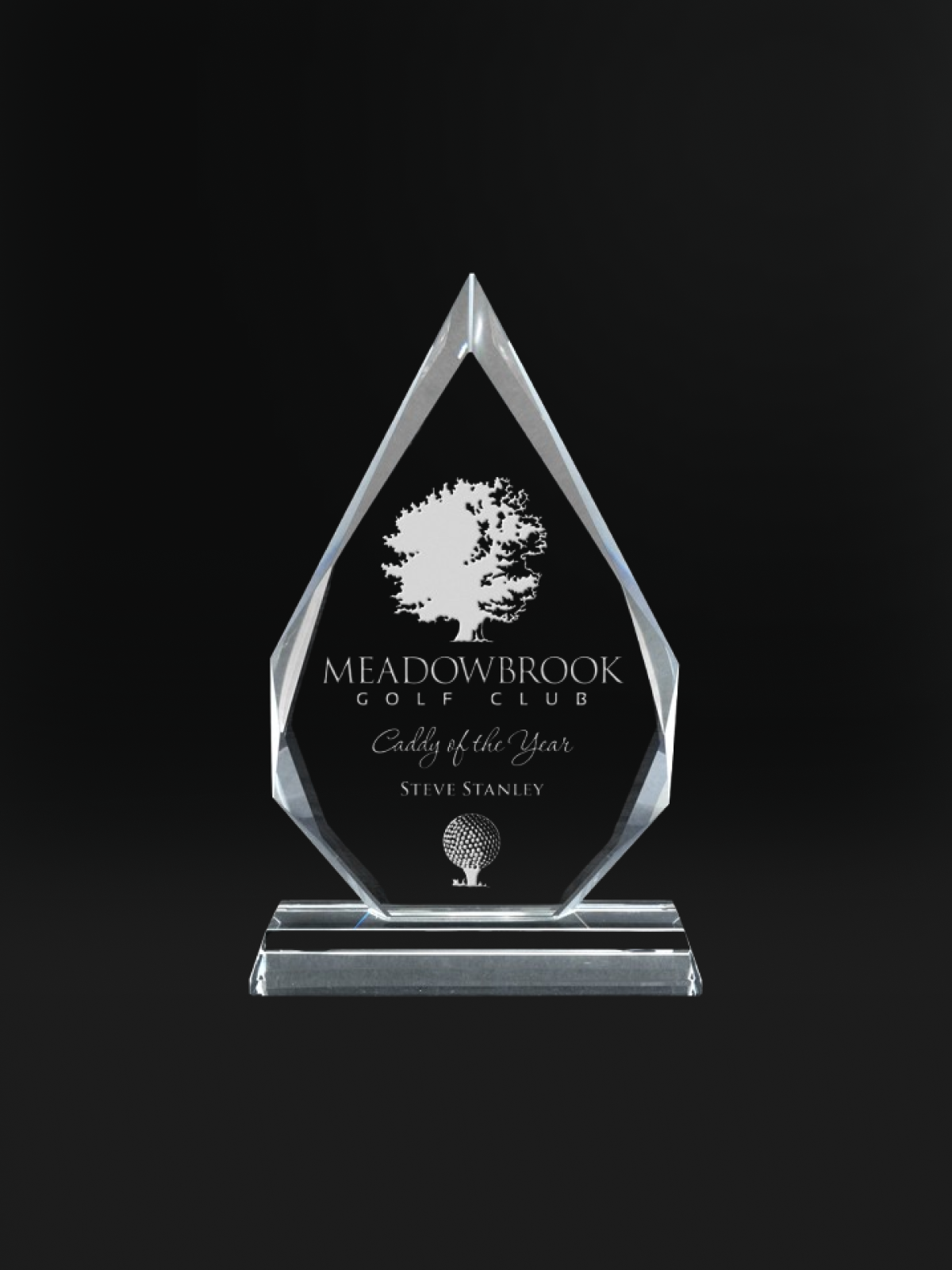 Southampton Crystal Award