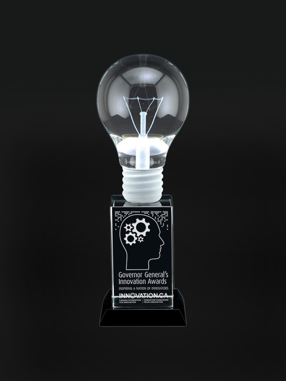 Pioneer Crystal Award