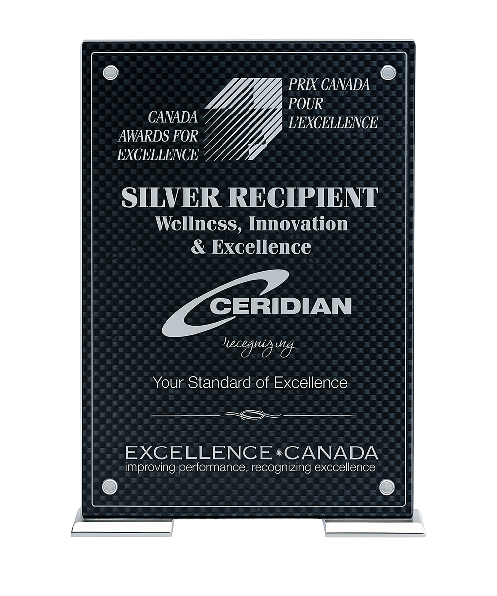 Vista Carbon Fiber Acrylic Award