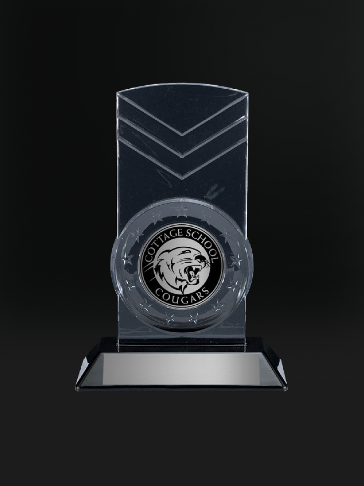 Snap-In Acrylic Award