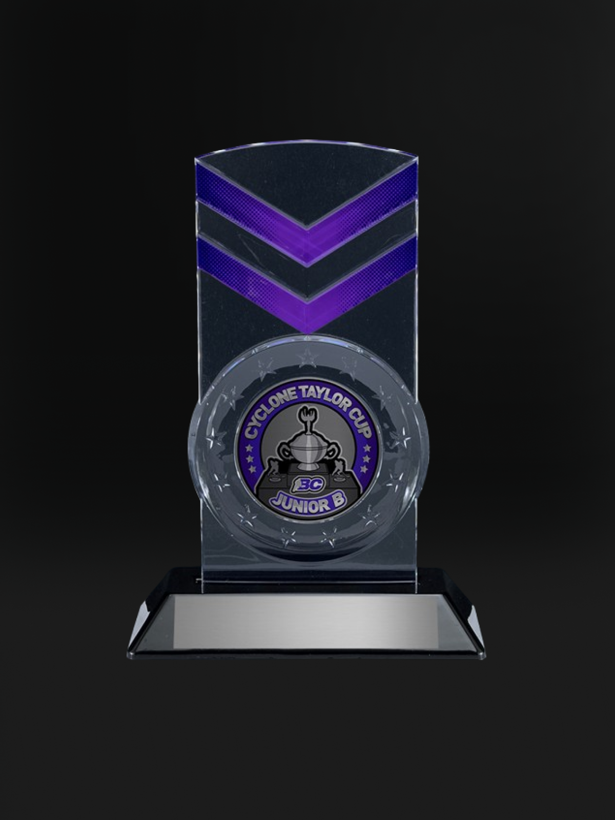 Snap-In Acrylic Award