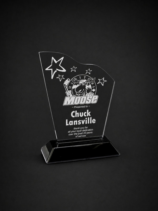 Snap-In Wave Acrylic Award