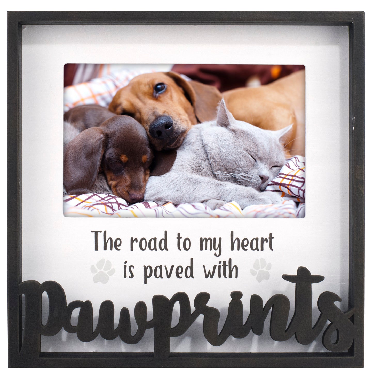 Malden 4x6 Pawprints Shadowbox Frame