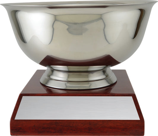 Stainless Bowl Trophy